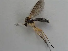 离谱！波特兰开拓者集结日门线救险成都蓉城完成体检备战中超，今夜勒沃库森调整名单以备意甲